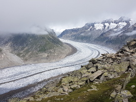 GAK-Reisegruppe am Aletsch